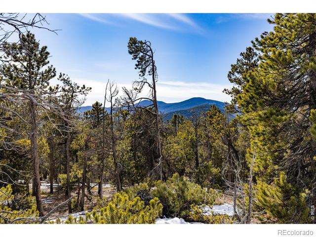 33768 Lyttle Dowdle Drive