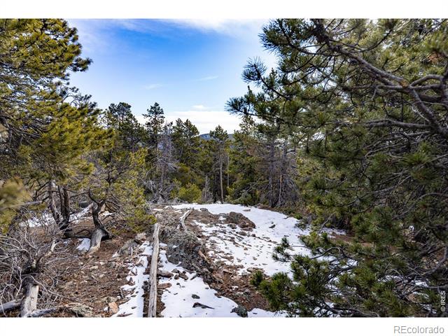 33768 Lyttle Dowdle Drive