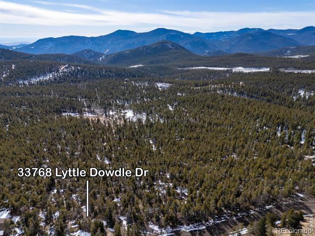 33768 Lyttle Dowdle Drive