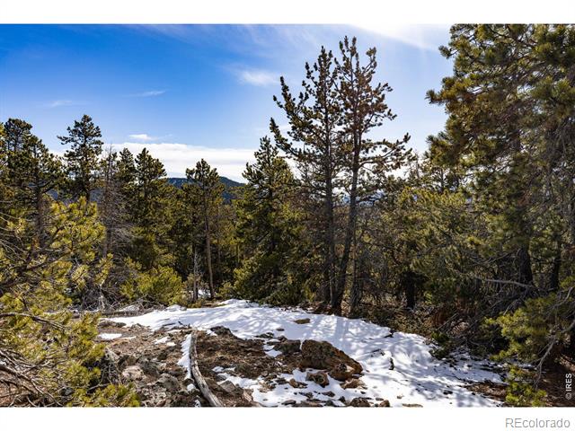33768 Lyttle Dowdle Drive