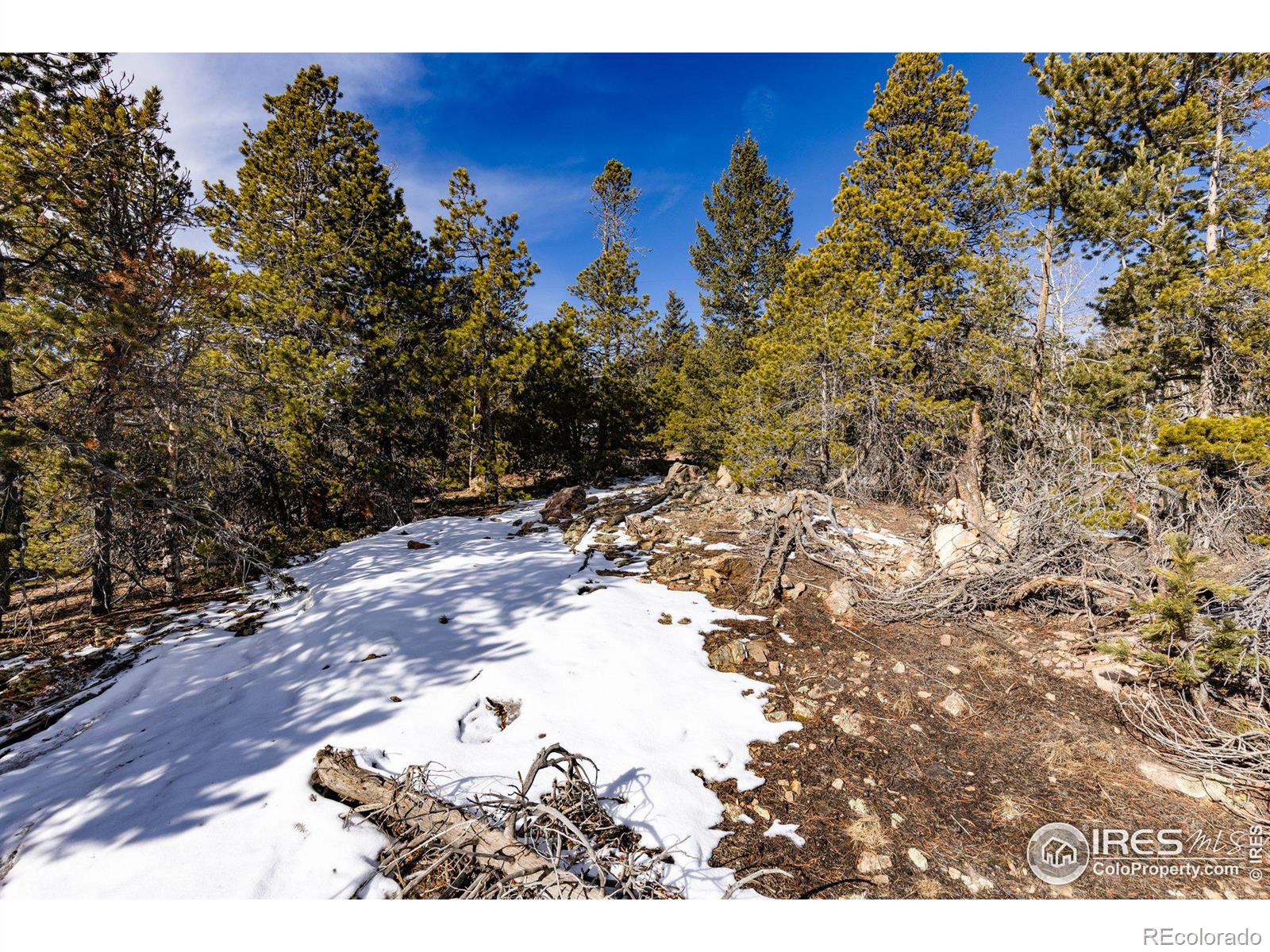 33768 Lyttle Dowdle Drive