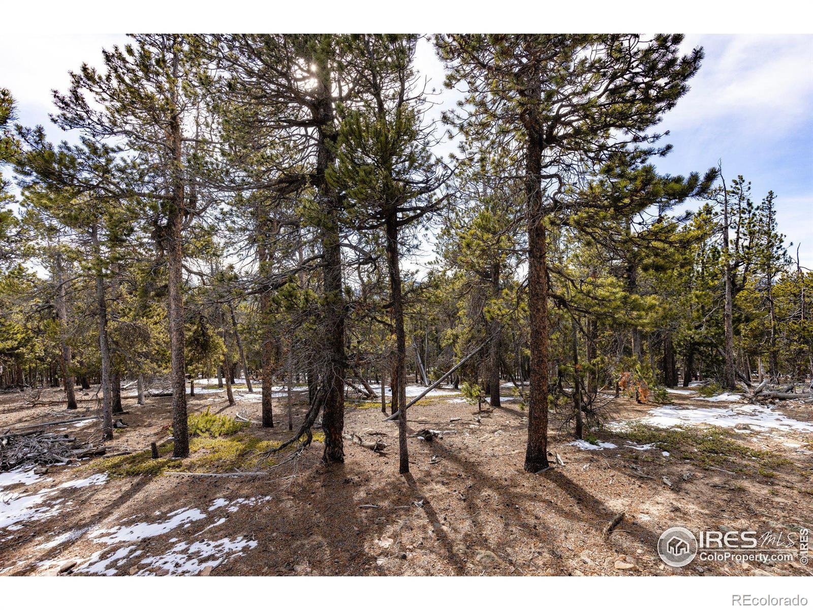 33768 Lyttle Dowdle Drive