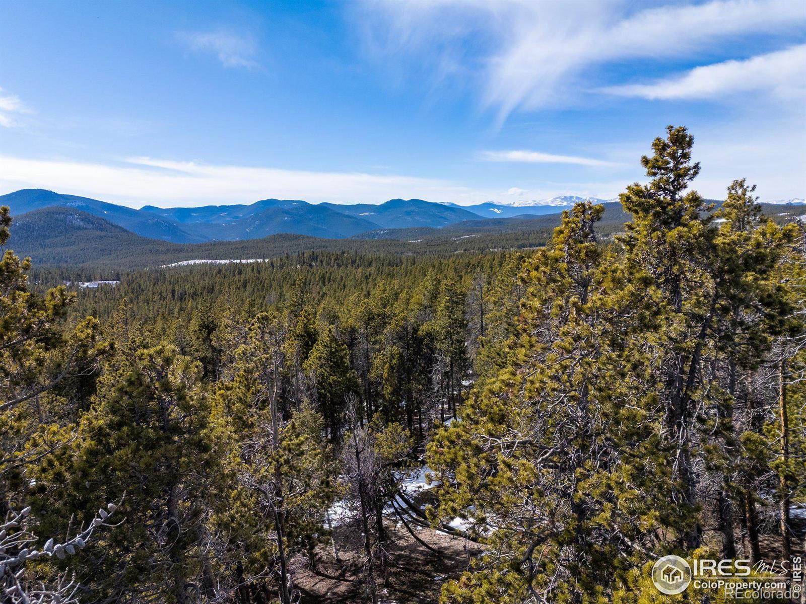 33768 Lyttle Dowdle Drive