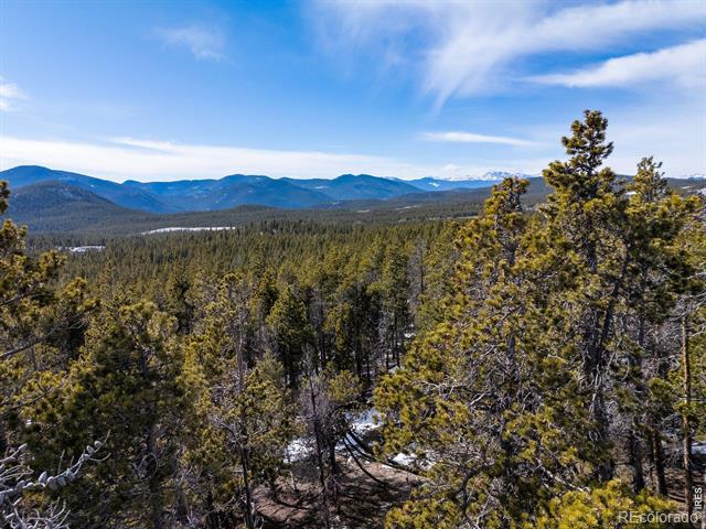 33768 Lyttle Dowdle Drive