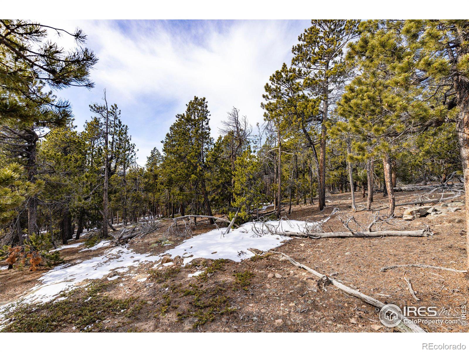 33768 Lyttle Dowdle Drive