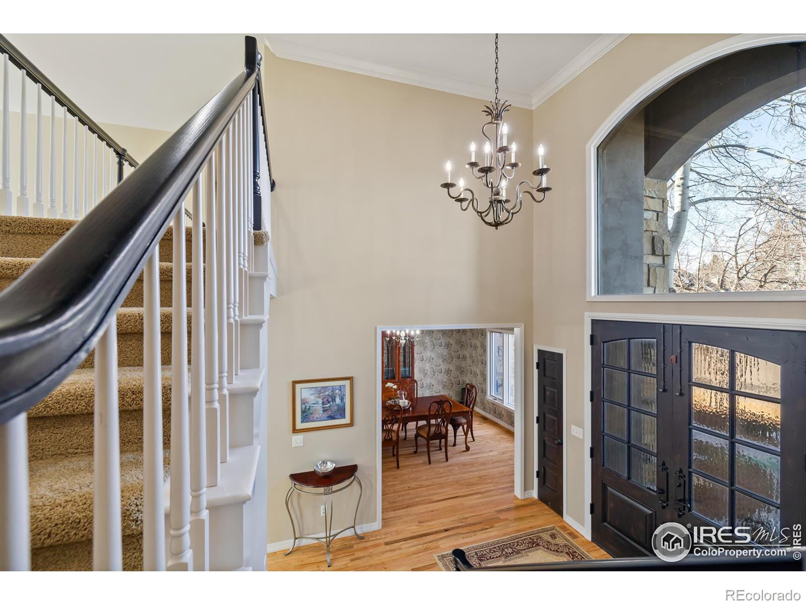 813 Whitehall Court