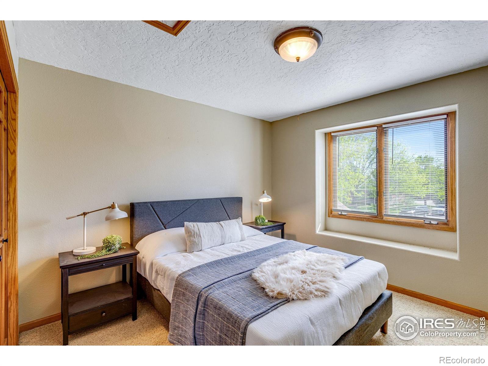 2613 Fox Run Court
