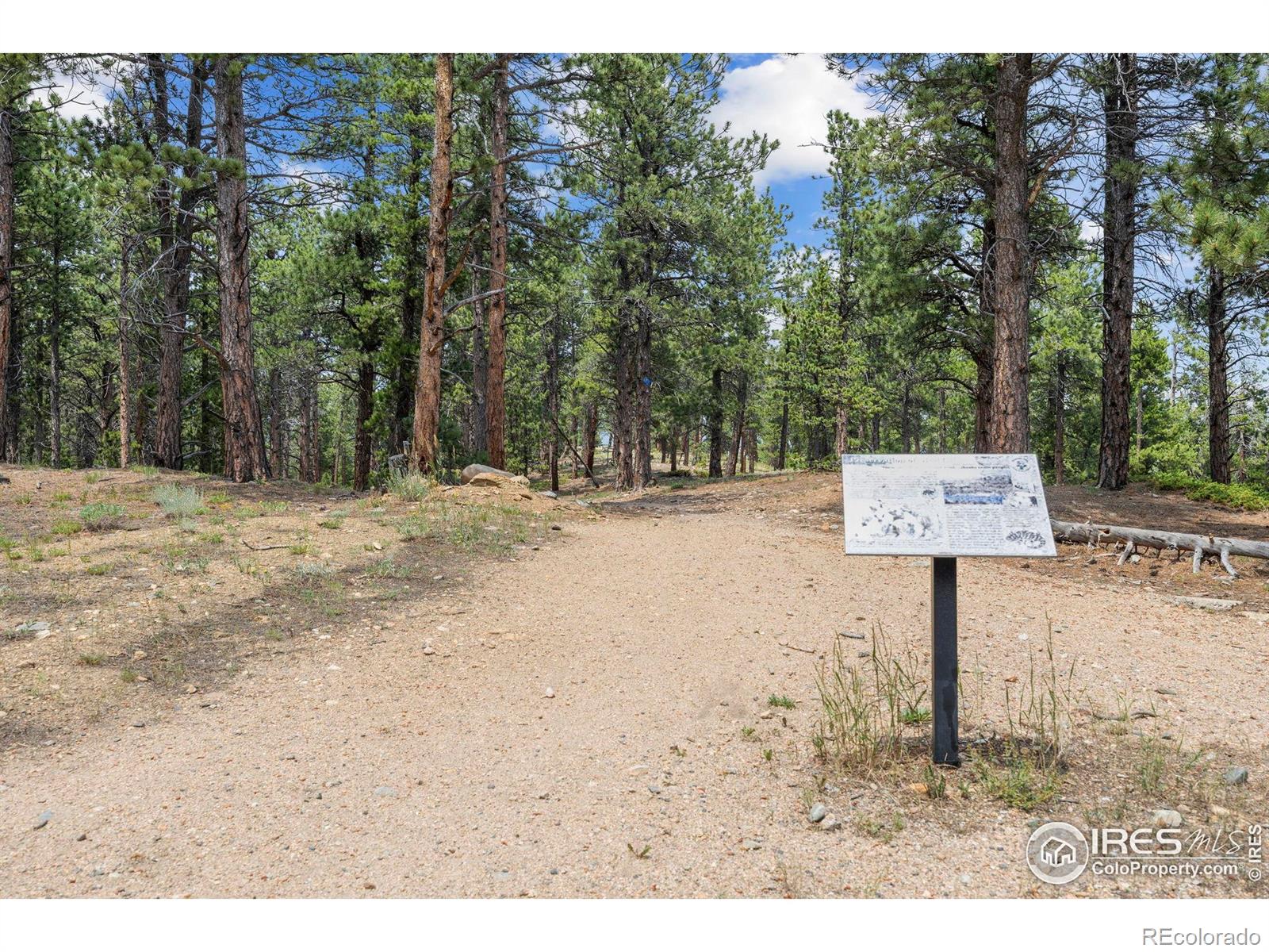 225 Indian Peaks Drive