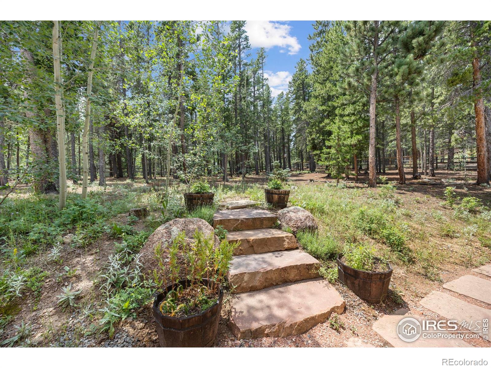 225 Indian Peaks Drive