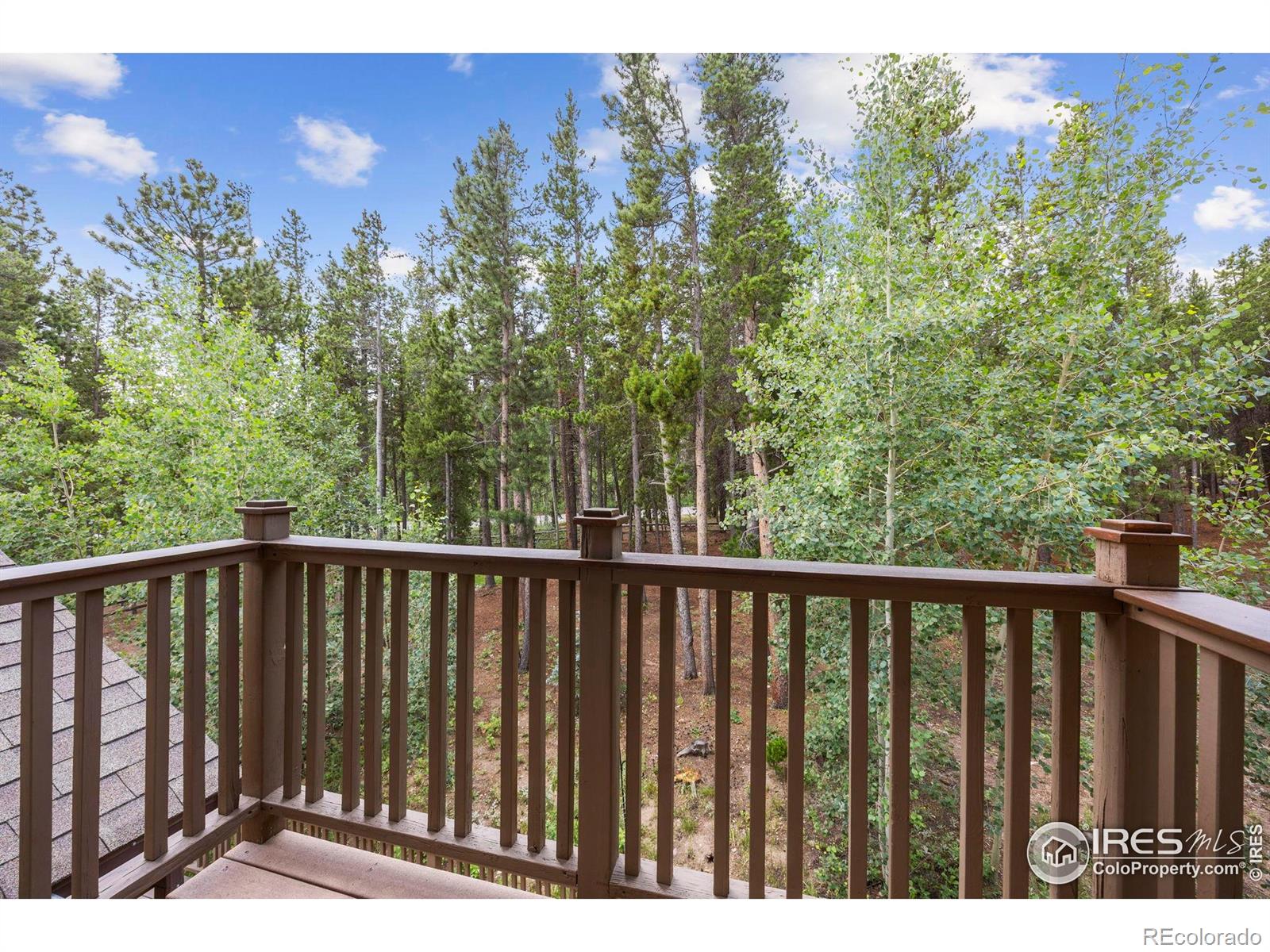 225 Indian Peaks Drive