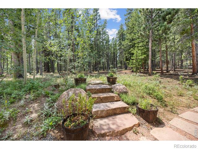 225 Indian Peaks Drive