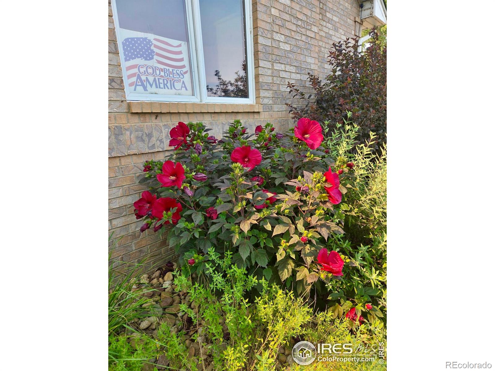 115 Grand View Drive