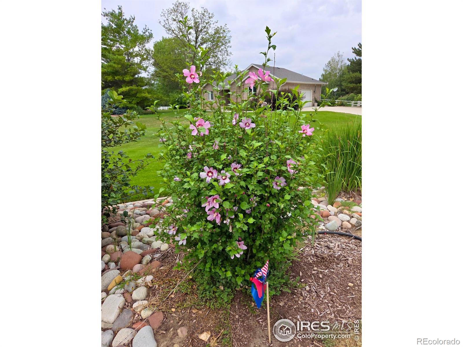 115 Grand View Drive