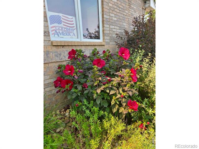 115 Grand View Drive