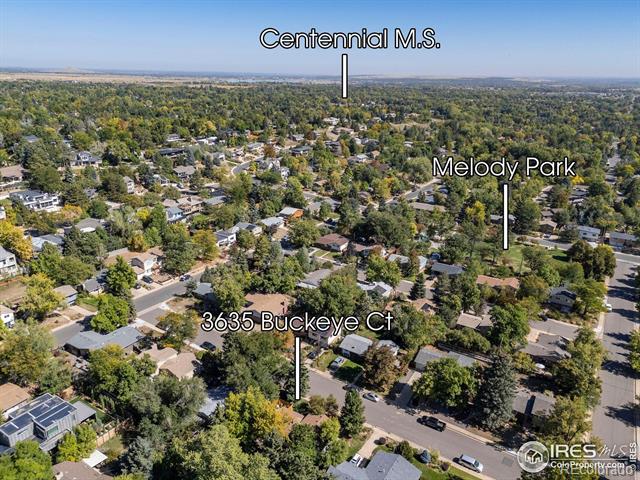 3635 Buckeye Court