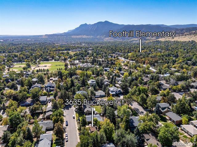 3635 Buckeye Court