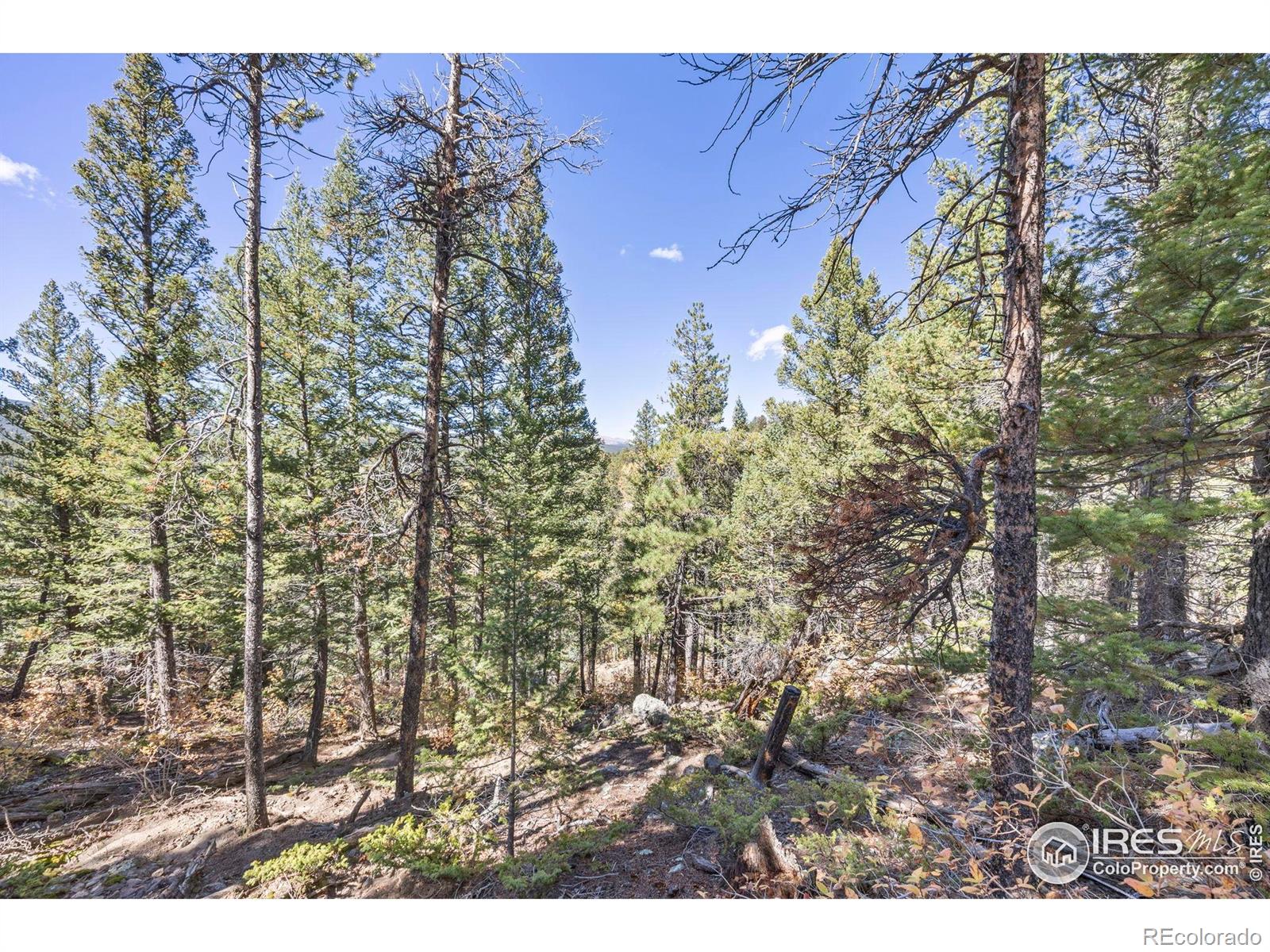 0 Arts Lane