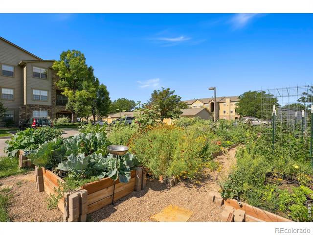 5620 Fossil Creek Parkway Unit: 302