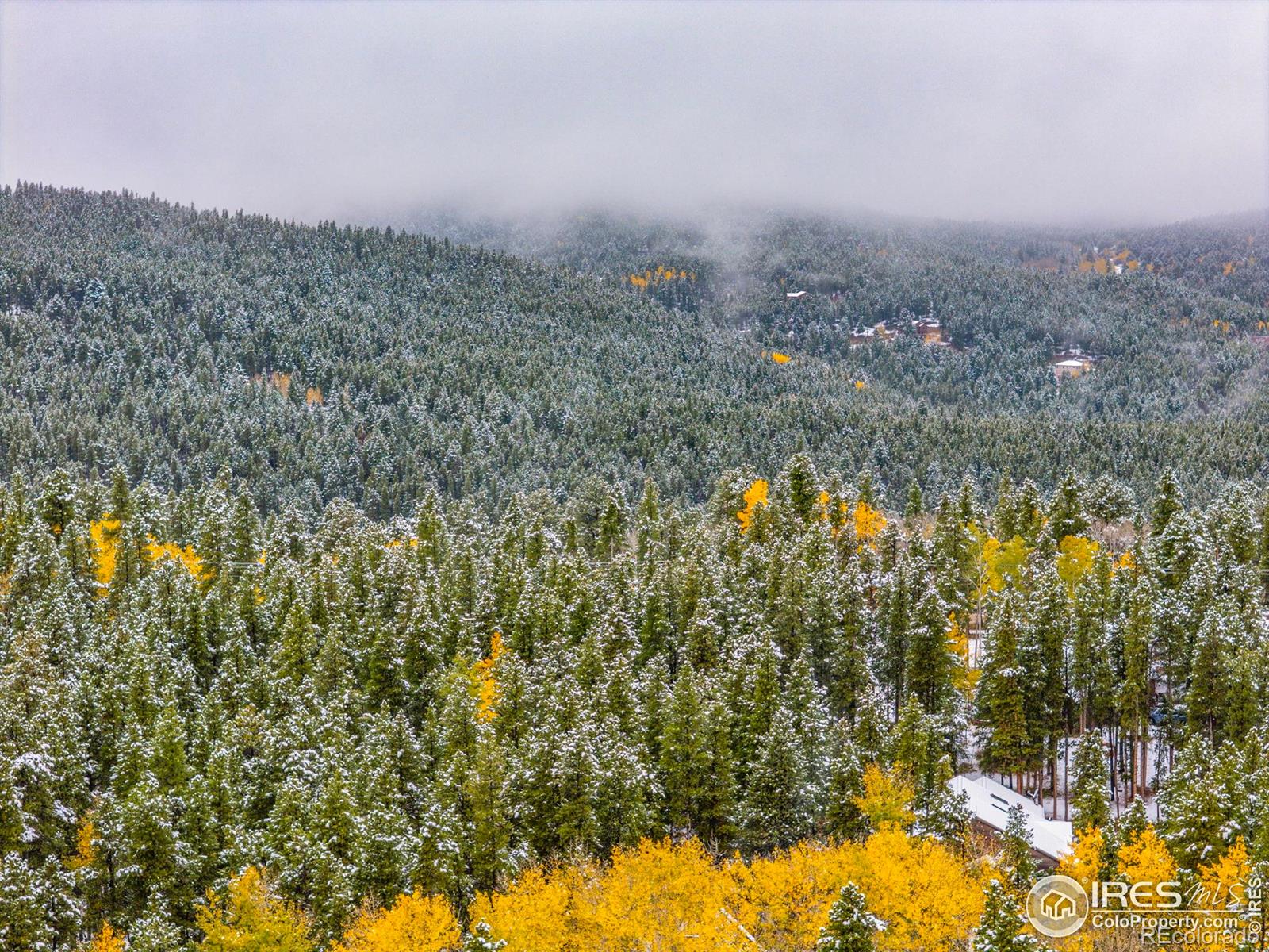 200 Severance Lodge