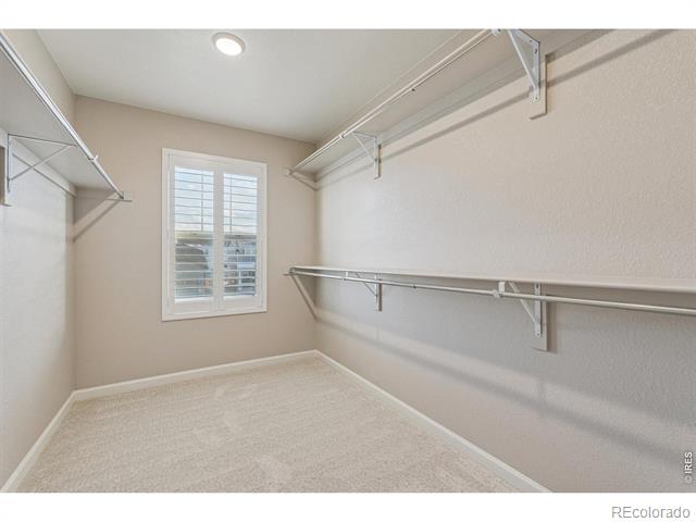 737 Gold Hill Drive