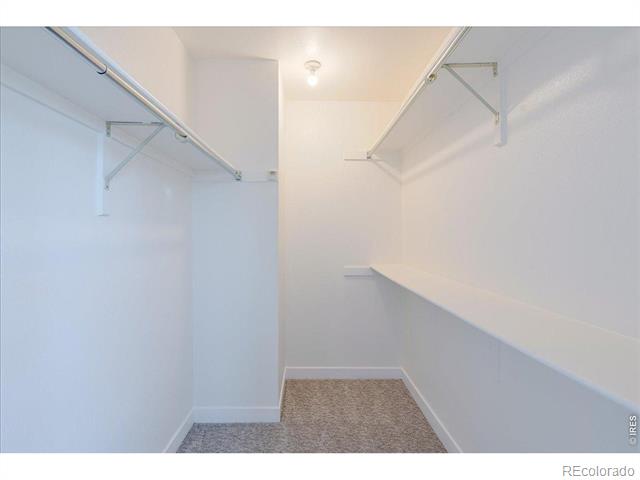 128 S Warbler Court