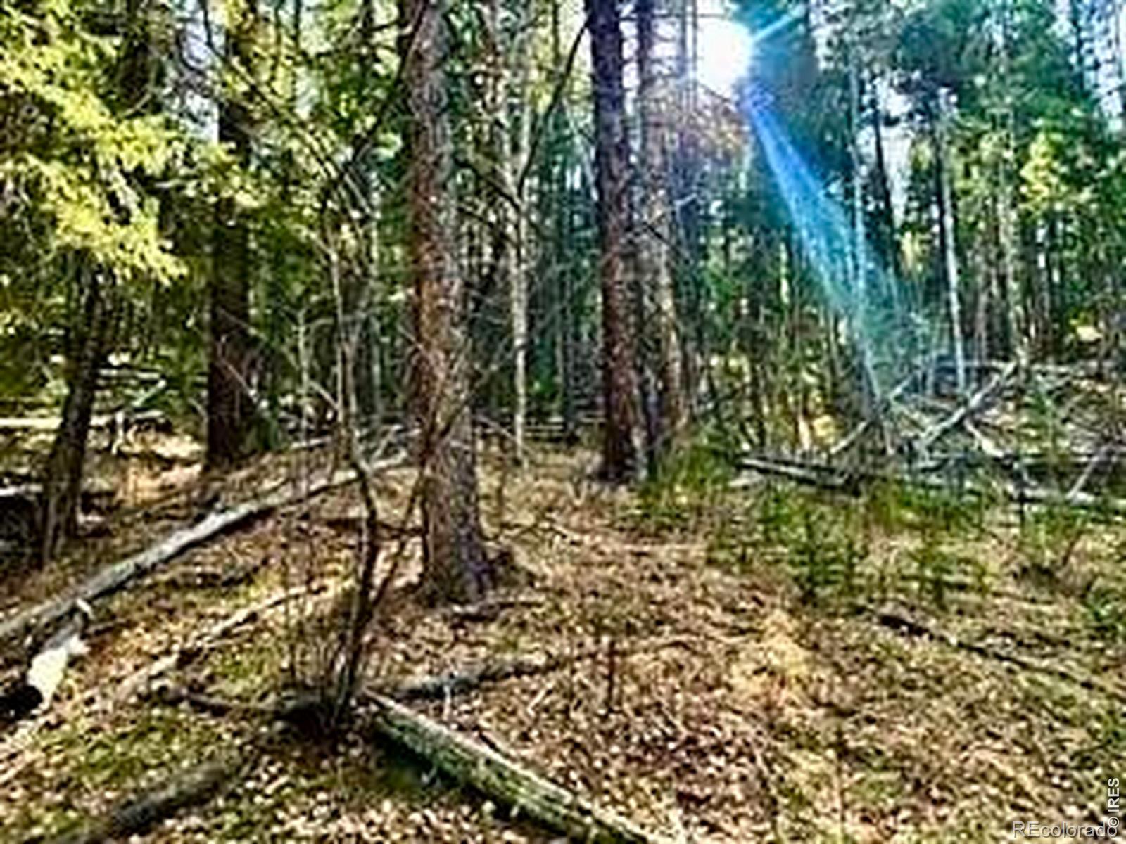 0 Snowy Trail