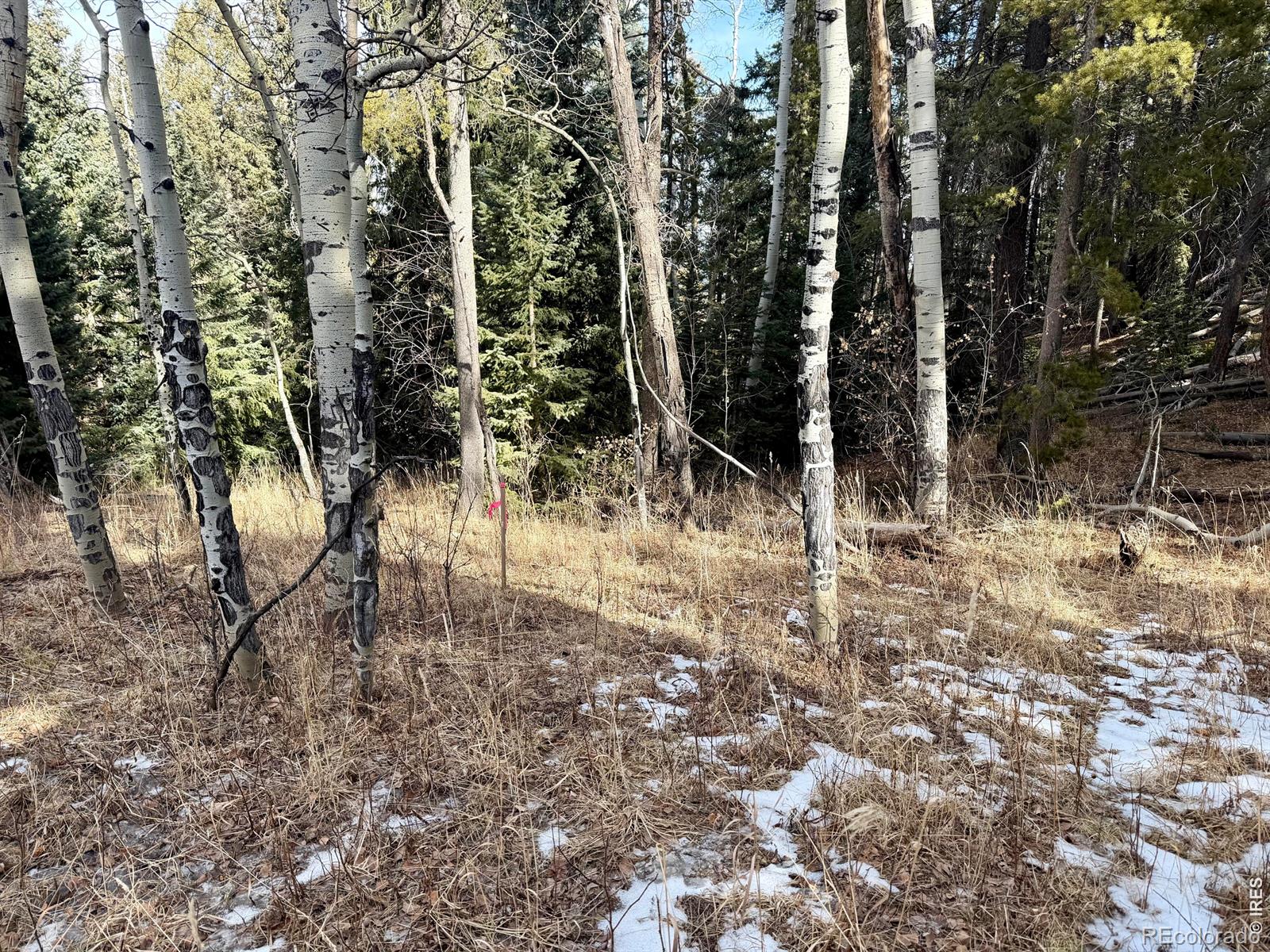 0 Snowy Trail