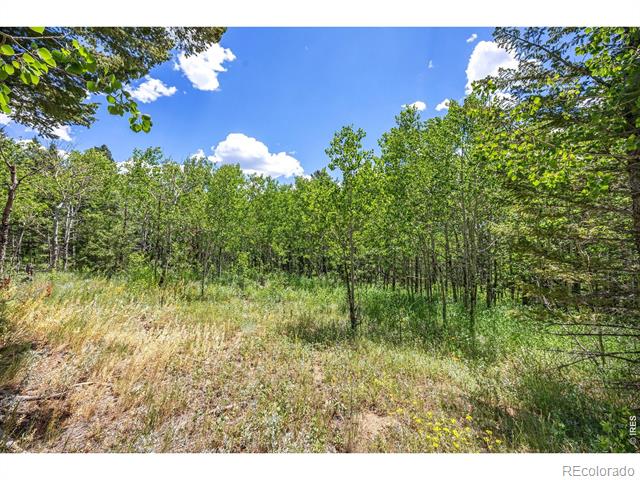 1568 County Road 103