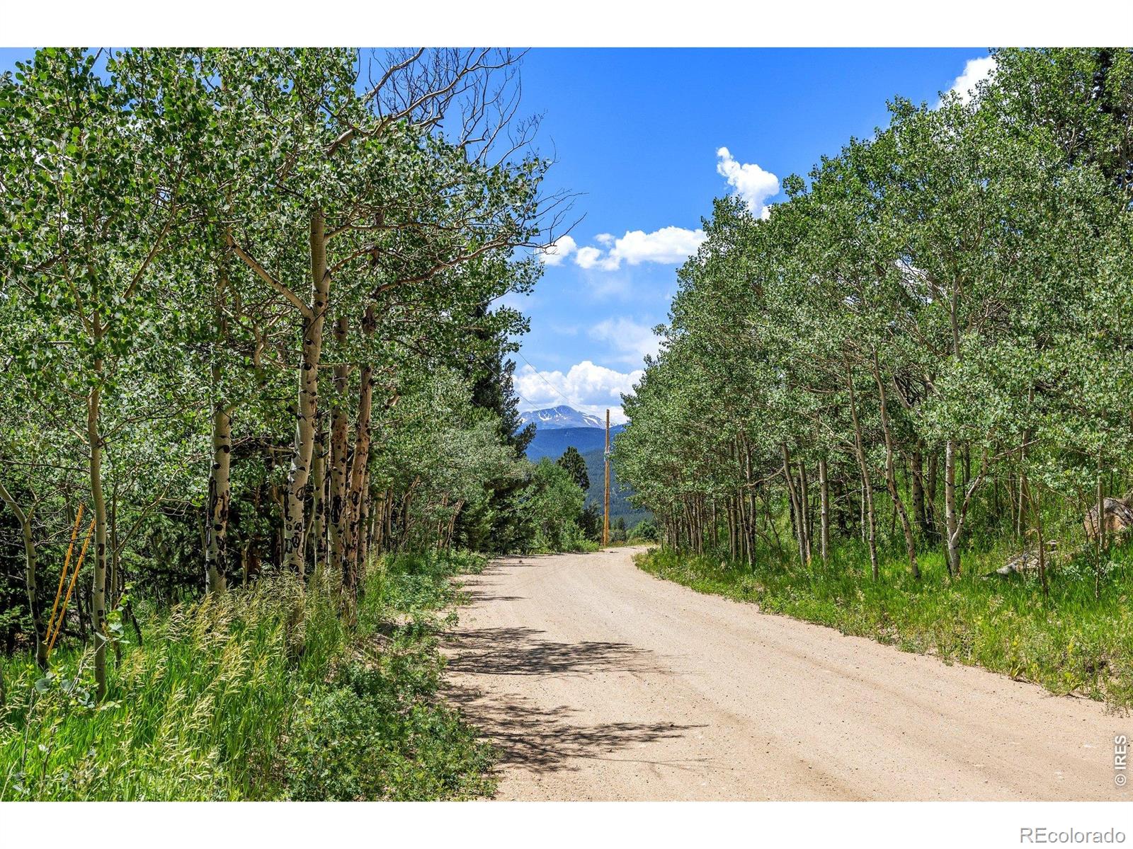 1568 County Road 103