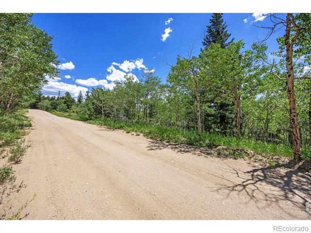 1568 County Road 103