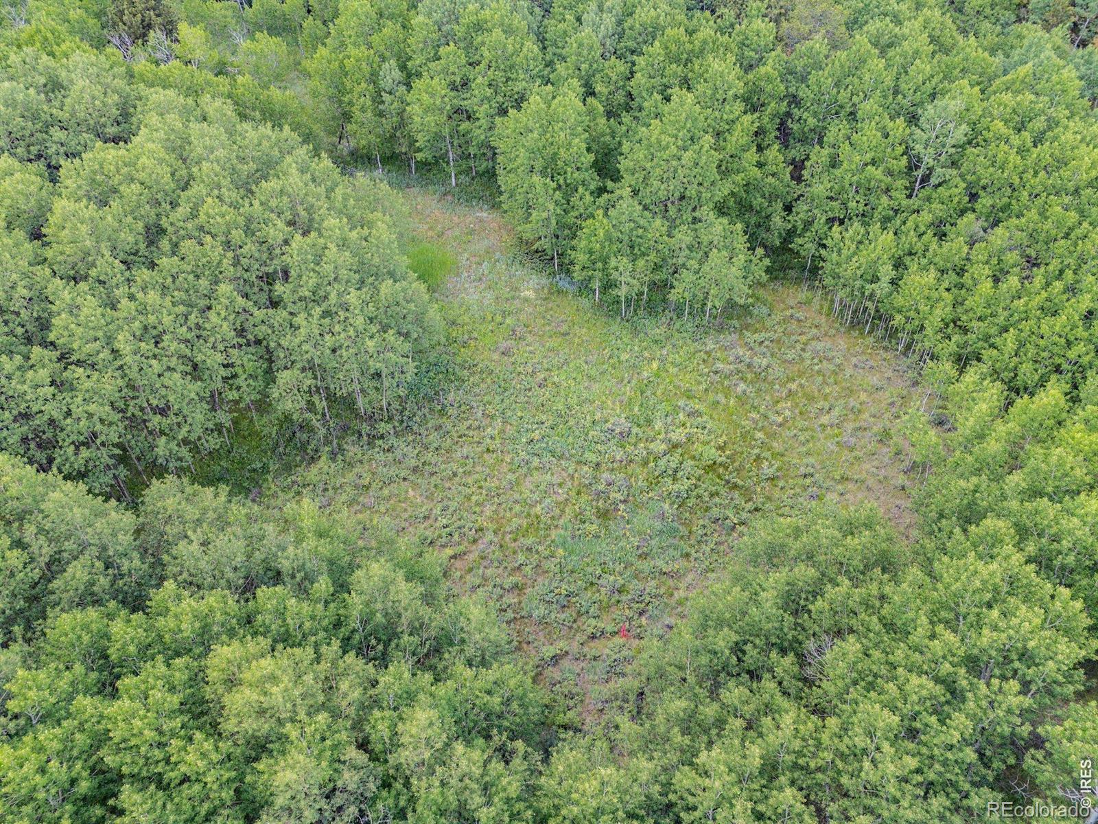 1568 County Road 103