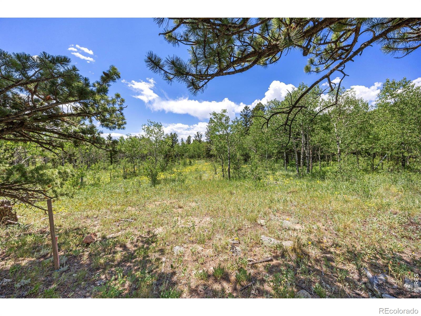 1568 County Road 103