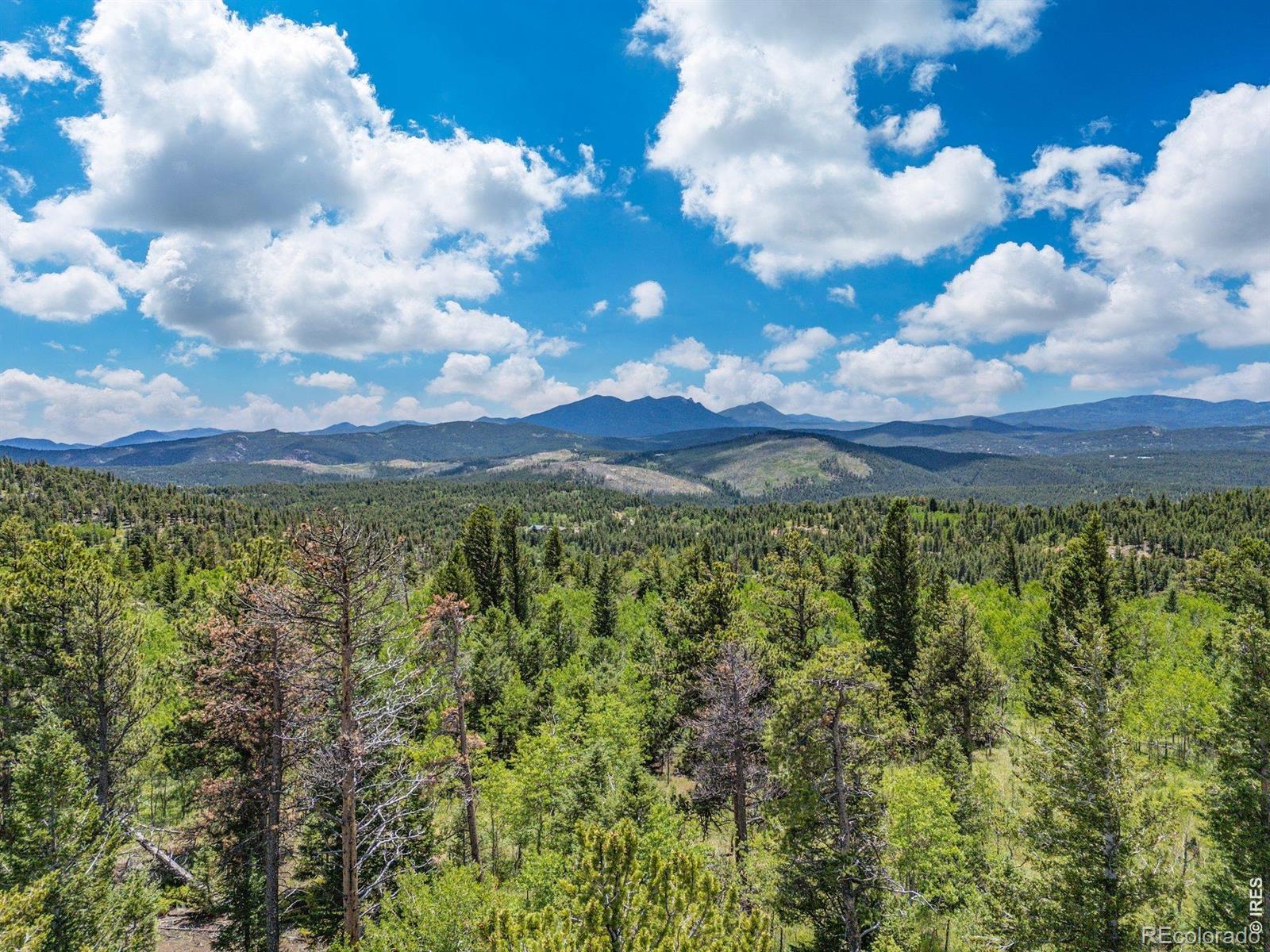 1568 County Road 103