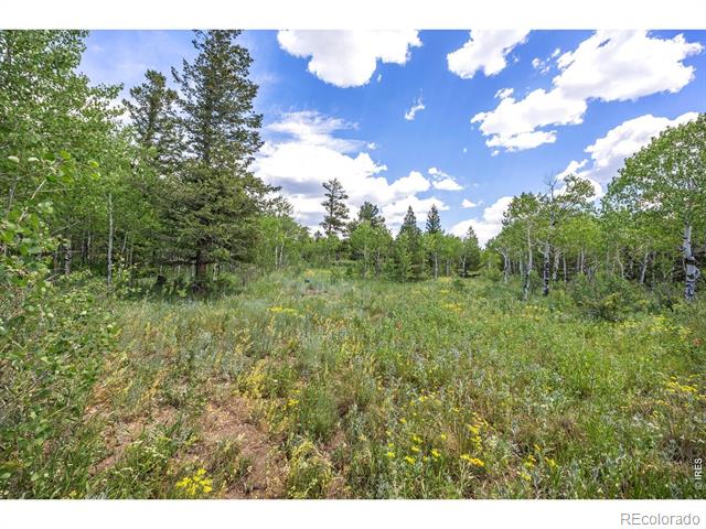 1568 County Road 103