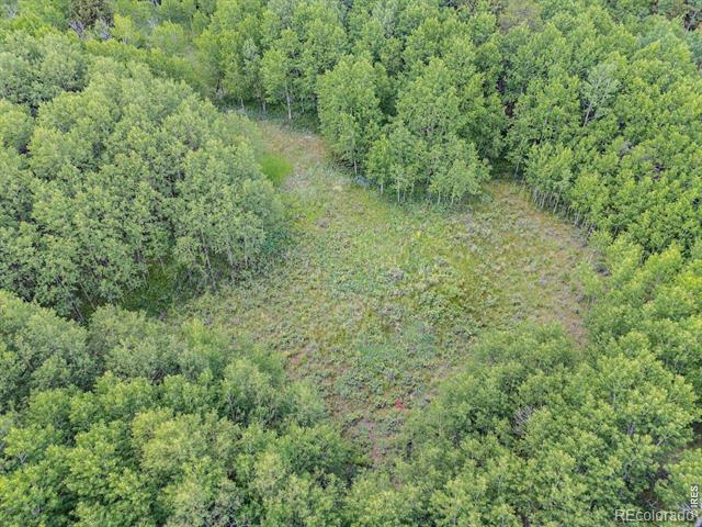 1568 County Road 103