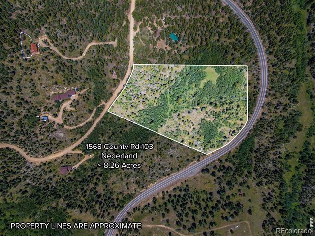 1568 County Road 103