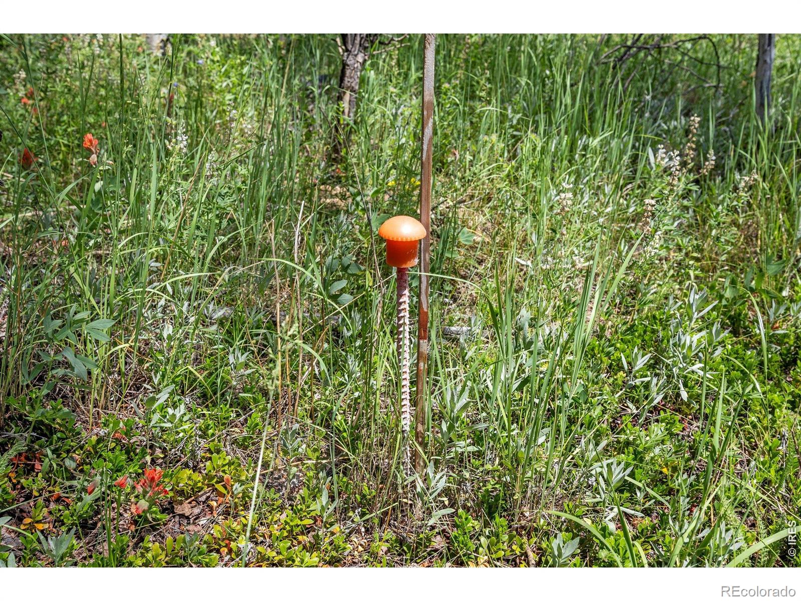 1568 County Road 103