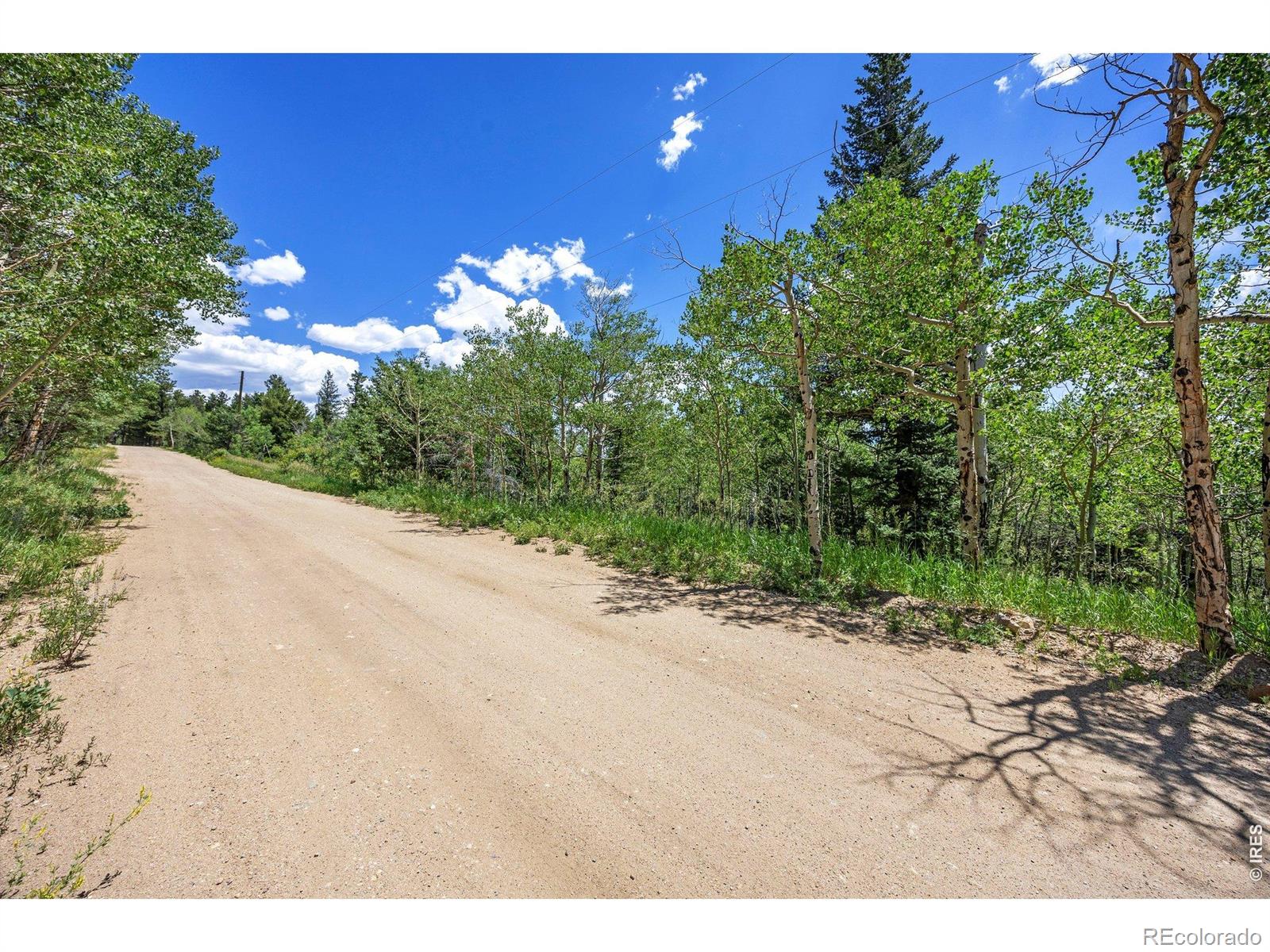 1568 County Road 103