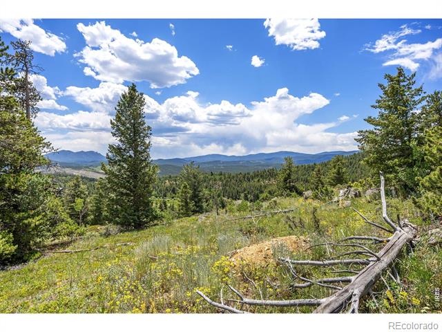 1568 County Road 103 Nederland Co Us 80466 Recir1055695