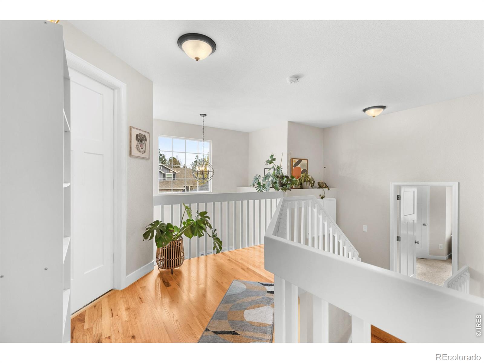 407 Maplewood Drive