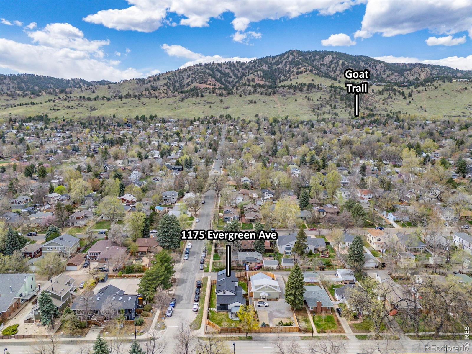 1175 Evergreen Avenue