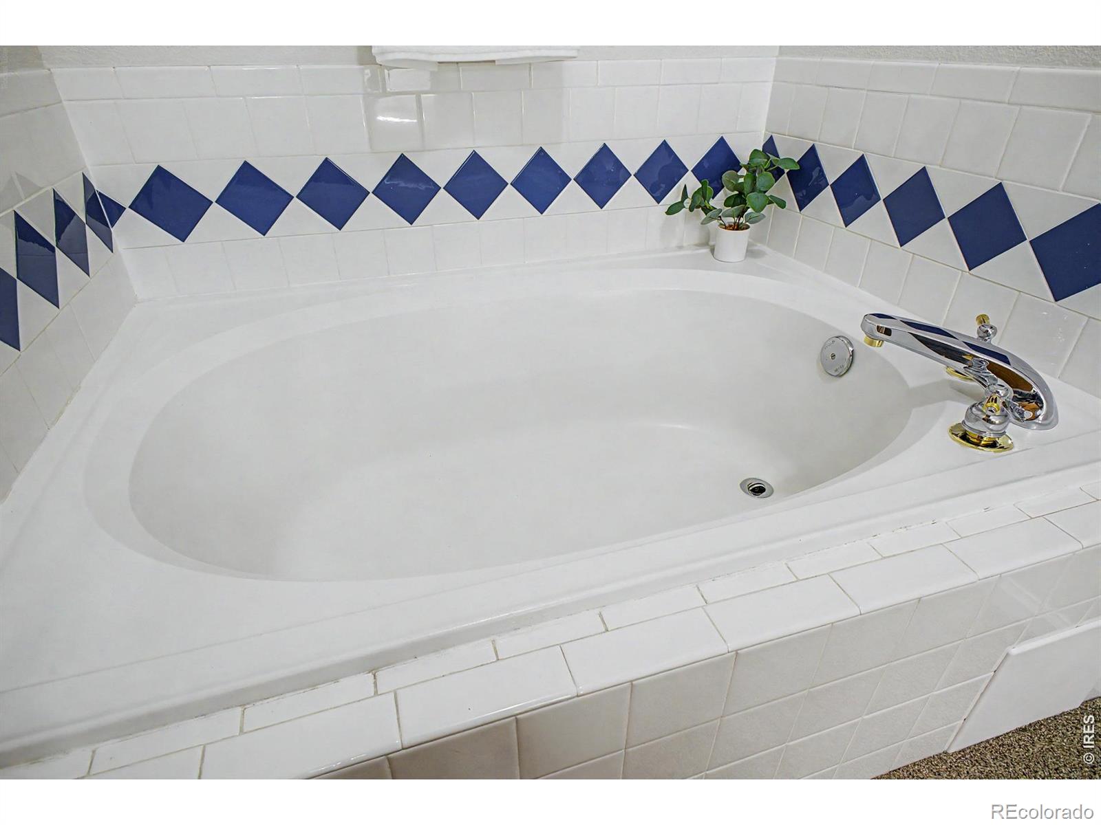 1703 Whitehall Drive Unit: 4F