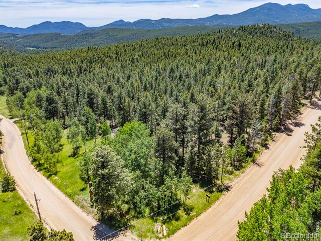 0 Magnolia Drive Nederland Co Us 80466 Recir1062129