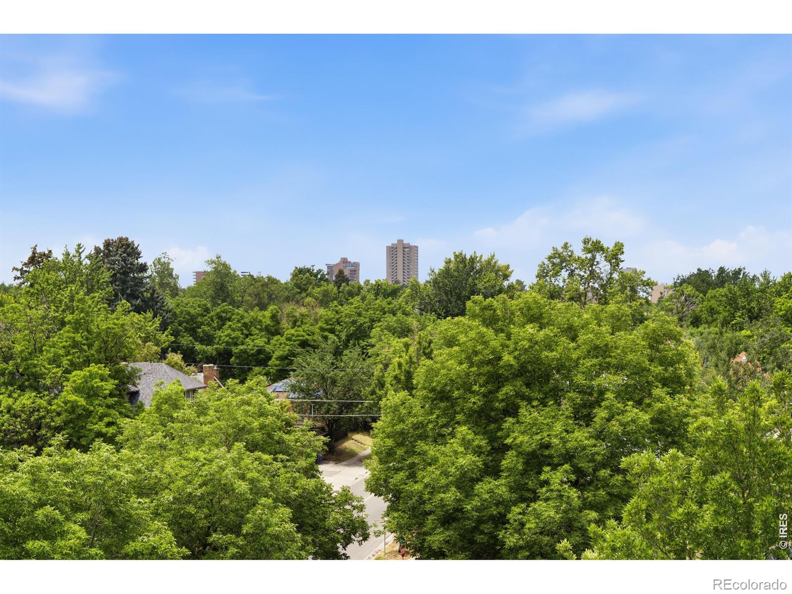 1313 Steele Street Unit: 606