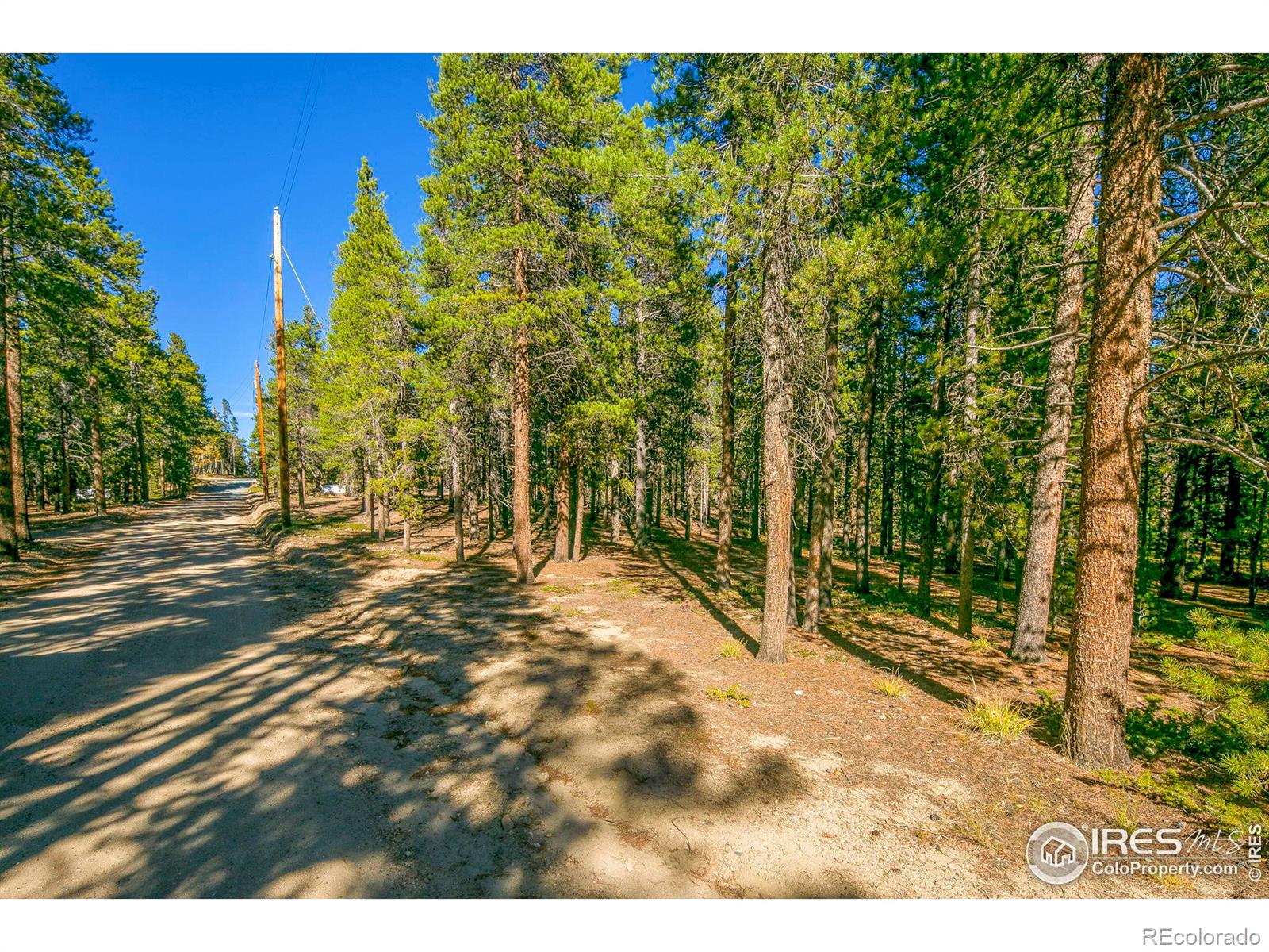 200 Severance Lodge Road