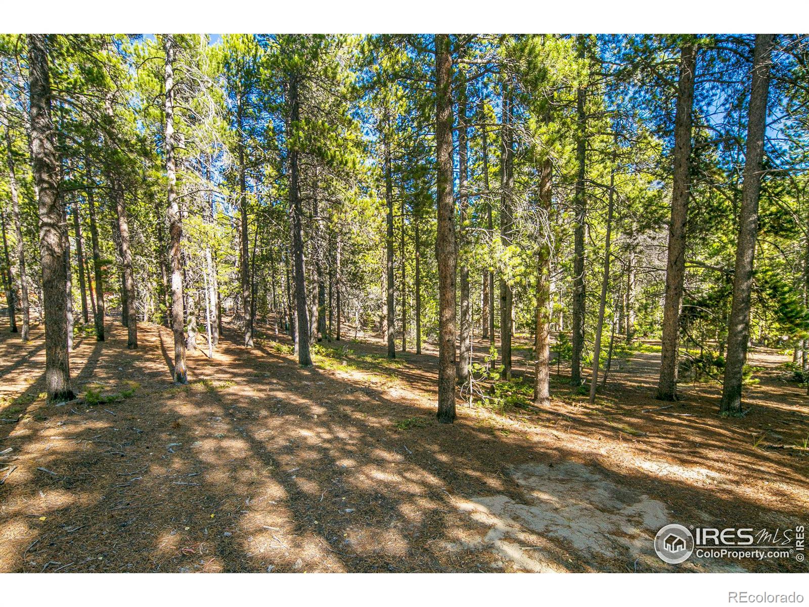 200 Severance Lodge Road
