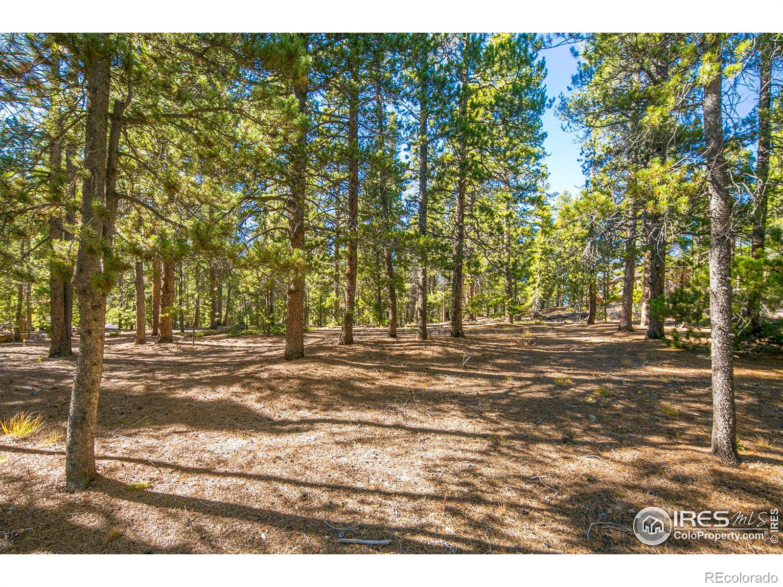 200 Severance Lodge Road