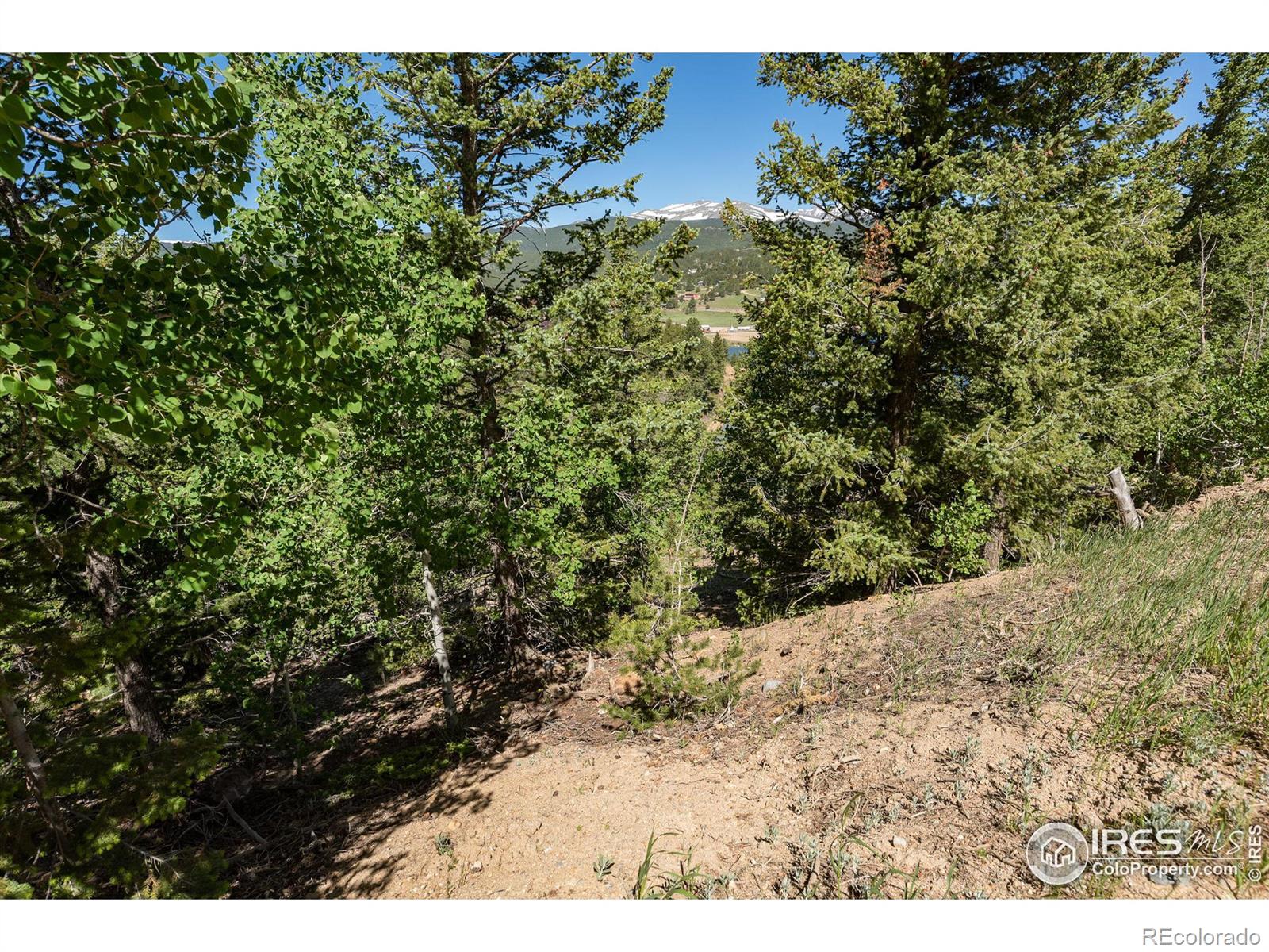71 Pinecliff Trail