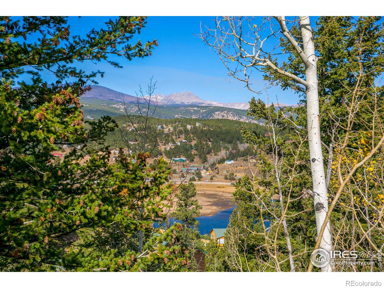 71 Pinecliff Trail