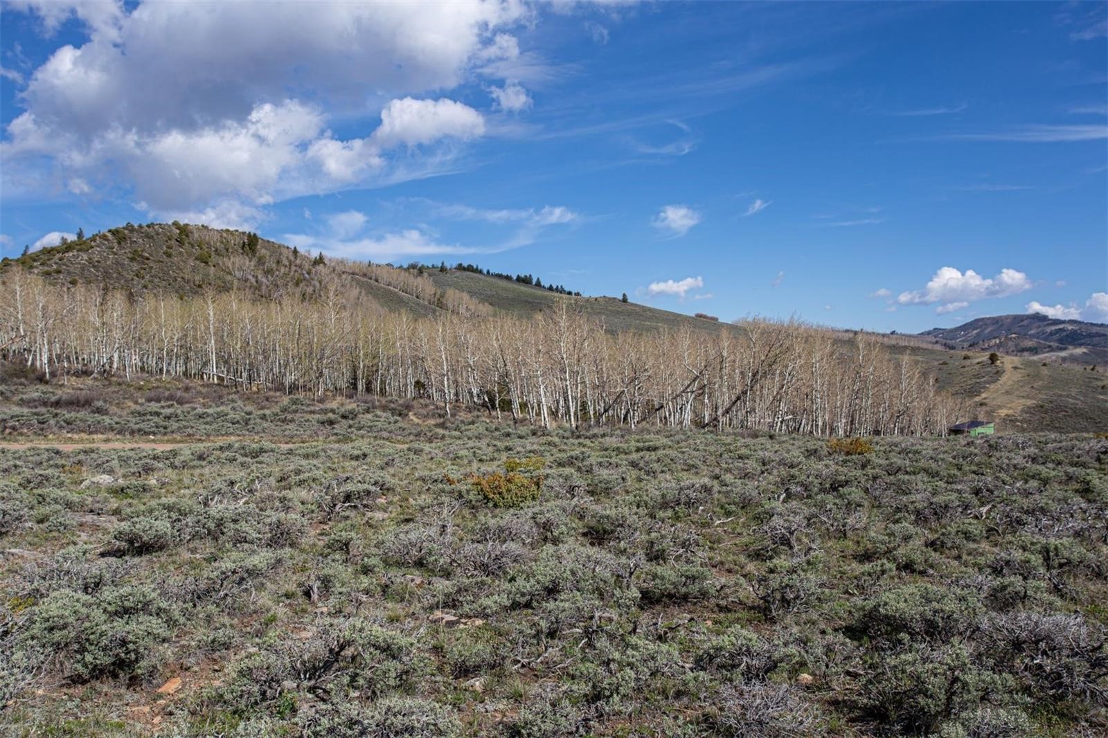 112 County Road 1901